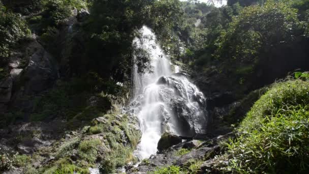 クロク熱帯雨林、サラブリー県タイ E Dok の滝。自然の背景. - 映像、動画
