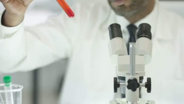 4k σε κοντινό πλάνο ιατρικός ερευνητής εργάζεται στο εργαστήριο με το μικροσκόπιο και τους σωλήνες δοκιμής - Πλάνα, βίντεο