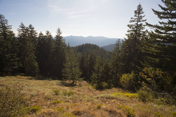 オレゴン州の鉄山ハイキング - 写真・画像