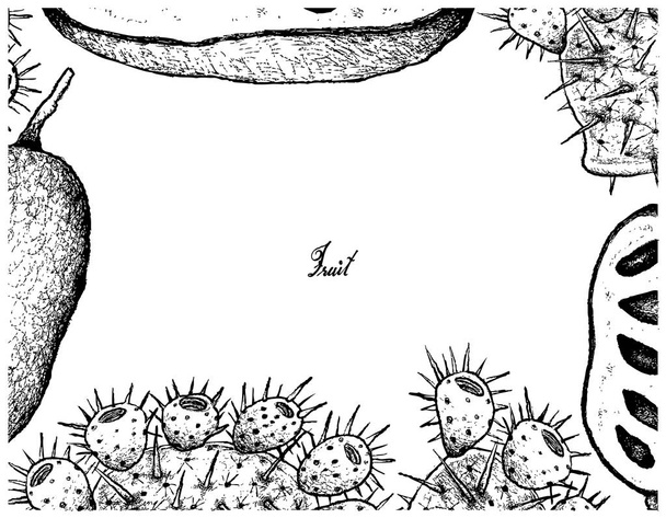 Disegnato a mano di zampa fresca su sfondo bianco
 - Vettoriali, immagini