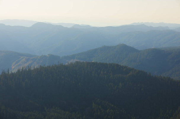 Iron Mountain Hike in Oregon - Фото, изображение
