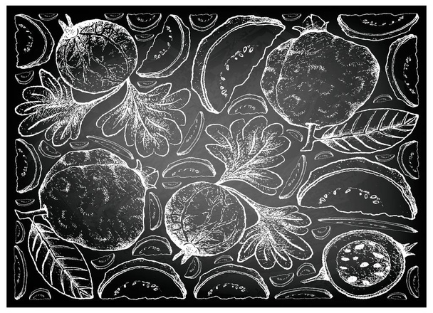 Elle guava ve Hint bektaşi üzümü kara tahta çizilmiş - Vektör, Görsel