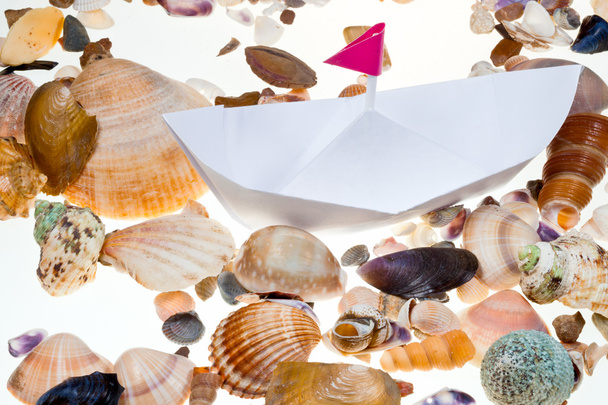 Paper boat on background from sea shells - Photo, Image