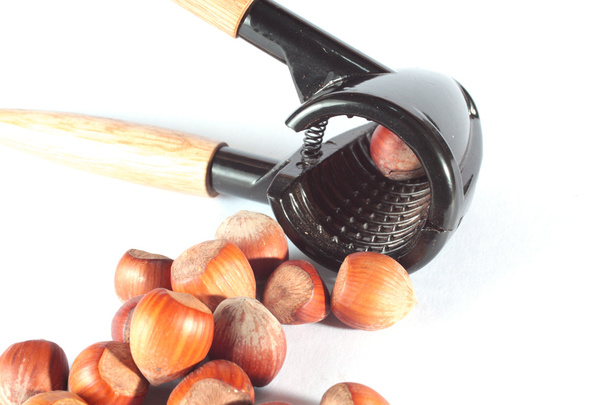 Hazelnuts - Photo, Image