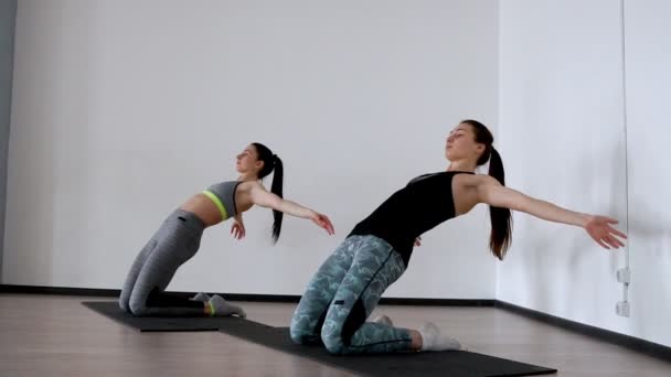 In the studio, two girls are engaged in pilates. Standing on their knees deviate back training the front of the thigh and spreading their arms out to the sides. 2 people synchronous execution. Yoga - Footage, Video
