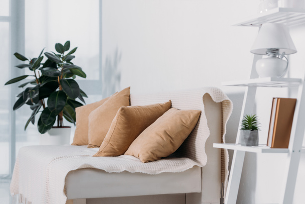 Sofa mit Kissen und Topfpflanzen im Zimmer - Foto, Bild