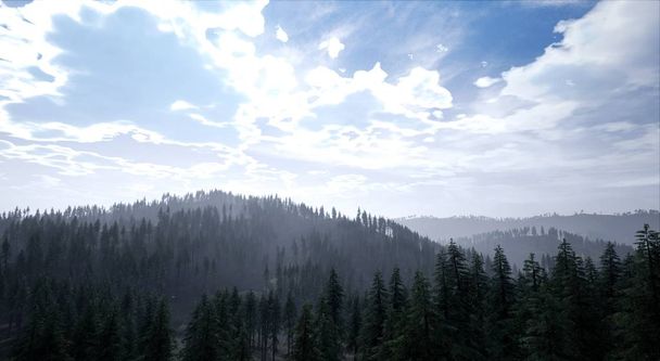 Γραφική θέα του δάσους στο νωρίς το πρωί με συννεφιασμένο ουρανό - Φωτογραφία, εικόνα