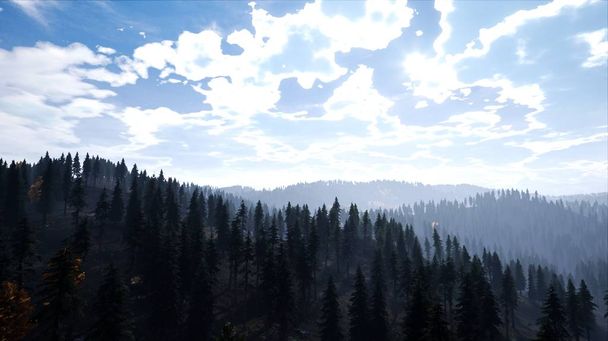 Сценический вид на лес ранним утром под облачным небом
 - Фото, изображение