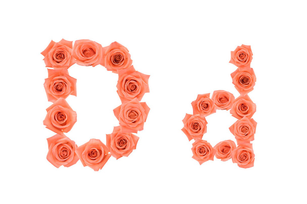 Letra D, alfabeto hecho de rosas anaranjadas aisladas sobre fondo blanco
 - Foto, Imagen
