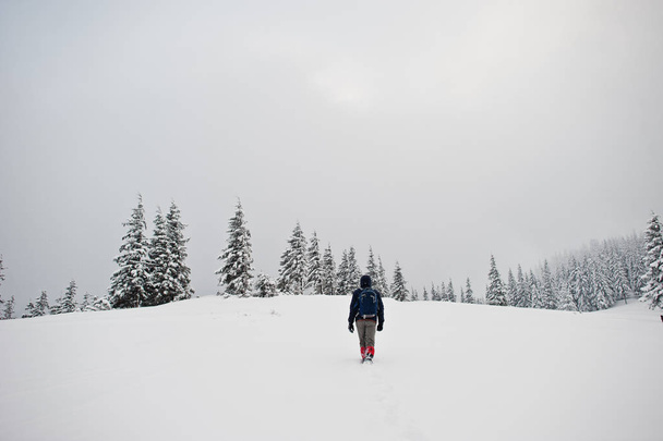 Fotografo turistico uomo con zaino, in montagna con tr pino
 - Foto, immagini
