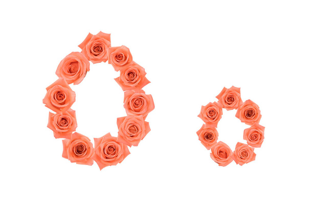 Kirjain O, valkoisella pohjalla olevista oransseista ruusuista tehdyt aakkoset
 - Valokuva, kuva
