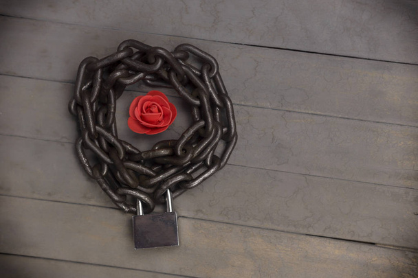 Цепная и закрытая красная роза на деревянном фоне
 - Фото, изображение
