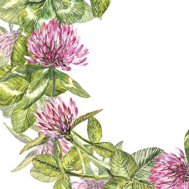 Hand-drawn watercolor red clover flower illustration. Painted botanical three-leaved meadow grass, isolated on white background. Happy St.Patrick s Day card compositions. - 写真・画像