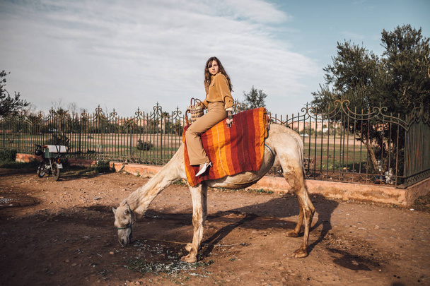 Young woman with a camel in Morocco - Photo, Image