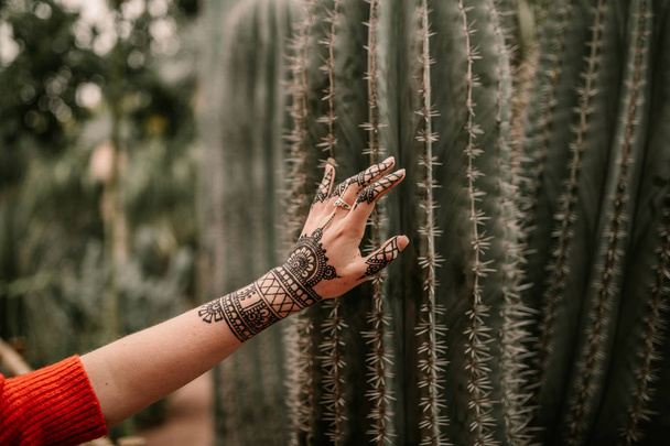Ręka dotykania Kaktus. Ręka z tatuaż henną, dotykania Kaktus - Zdjęcie, obraz
