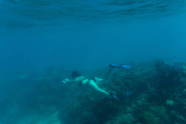 Foto submarina de una mujer haciendo snorkel y buceando gratis en un claro agua tropical en el arrecife de coral. Mar submarina
. - Foto, Imagen