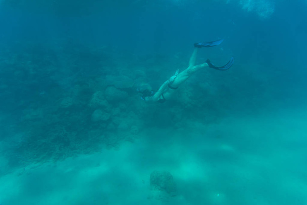Foto submarina de una mujer haciendo snorkel y buceando gratis en un claro agua tropical en el arrecife de coral. Mar submarina
. - Foto, Imagen
