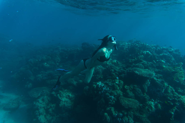 Nuori nainen kuorsaamassa veden alla meririutta ja koralli. Kesäkutsumus
. - Valokuva, kuva
