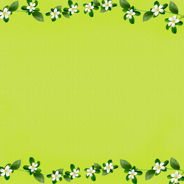 Fundo verde para cartões de felicitações e scrapbooking. O fundo tem uma moldura de flores de primavera de cor branca com folhas verdes
. - Foto, Imagem