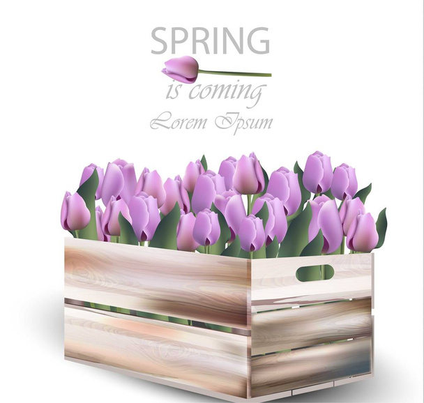 Tulip flowers box Vector illustration. Spring Realistic cards background - Вектор, зображення