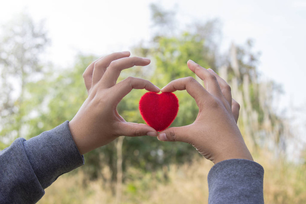 Corazón rojo y amor en el concepto del día de San Valentín: humanos entregando un gran corazón rojo sobre un fondo borroso de la naturaleza
. - Foto, Imagen