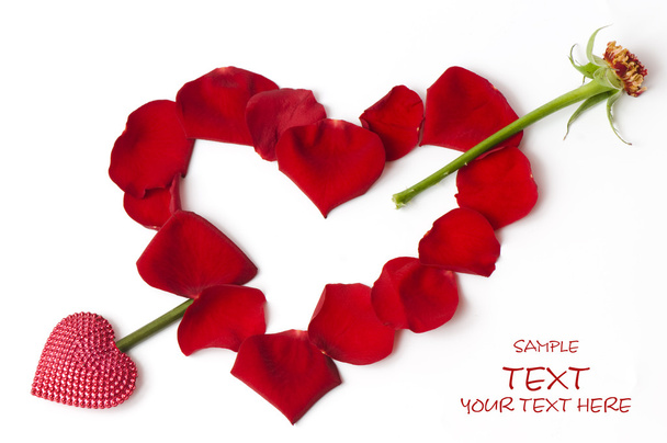 Día San Valentín pétalos de rosa roja
 - Foto, imagen