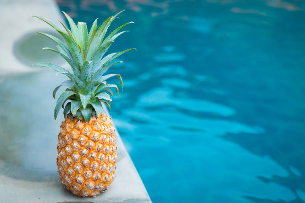 pineapple tropic fruit summer refreshment pool - Foto, Bild