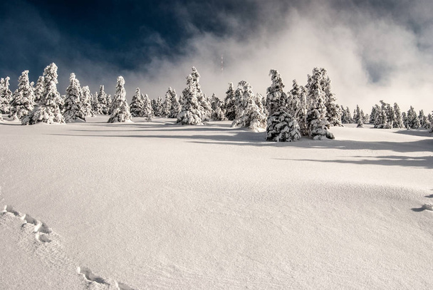 Praded hill in winter Jeseniky mountains in Czech republic - 写真・画像