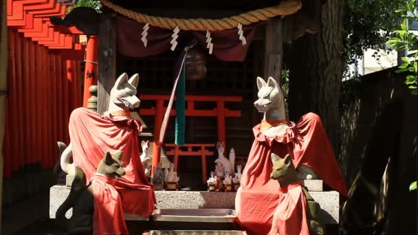Guardian Fox Anamoriinari szentély Haneda középső lövés. A a hagyományos szentély Tokióban. fényképezőgép: Canon Eos 7d - Felvétel, videó