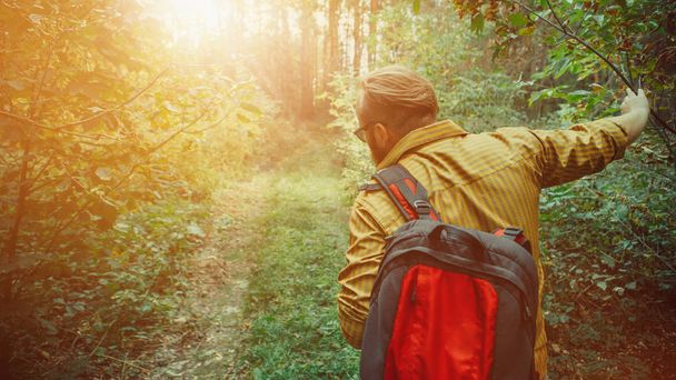 Retrato de un mochilero barbudo con mochila sobre el fondo del bosque
 - Foto, Imagen