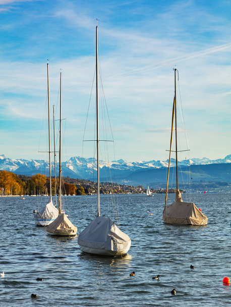 Lake Zurich in Switzerland - Photo, Image