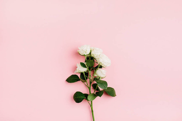 Bílá růže kytice na pastelově růžové pozadí. Pohled na ploché ležel, top. Minimální jarní květinový koncept. - Fotografie, Obrázek