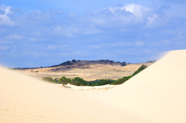 El desierto
 - Foto, Imagen