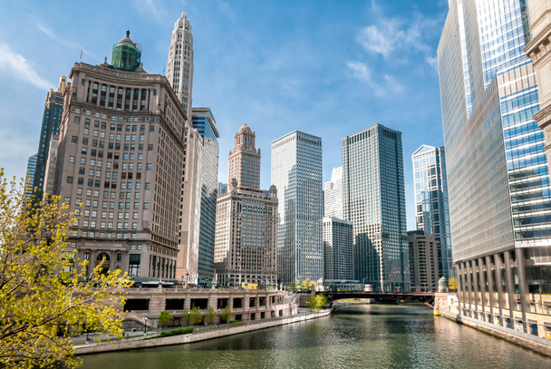 Вид на чикагские небоскребы с Мэтер-Тауэр и Лондонского здания охраны с реки Чикаго, штат Иллинойс, США
 - Фото, изображение