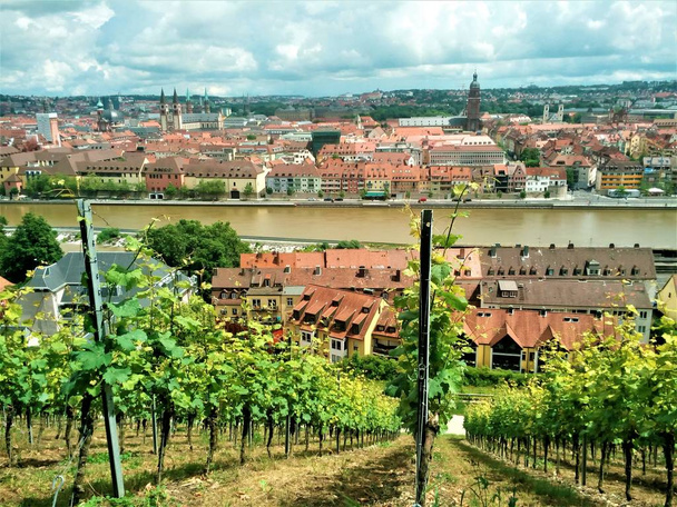 畑の後ろに、古いの美しい都市ヴュルツブルク - 写真・画像