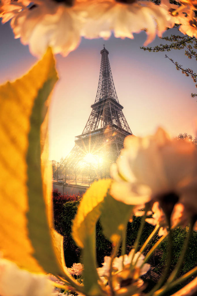 Eiffelova věž během jara v Paříži, Francie - Fotografie, Obrázek
