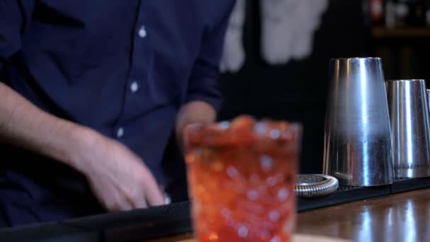 Deskundige barman maakt cocktail in bar - Video