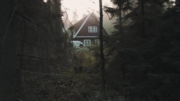 Μικρό ξύλινο σπίτι καμπίνα στο βαθύ δάσος, θερμό φως - Πλάνα, βίντεο