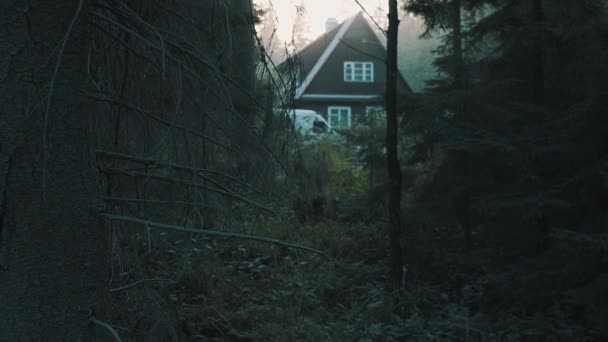 Kleine houten huis cabine in diepe bossen, koude Toon - Video