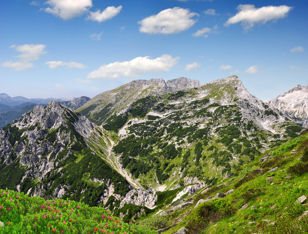 Julian Alps, Slovenia - Fotografie, Obrázek