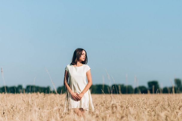 Ένα κορίτσι σε ένα λευκό φόρεμα στη μέση ενός χωραφιού σιταριού - Φωτογραφία, εικόνα