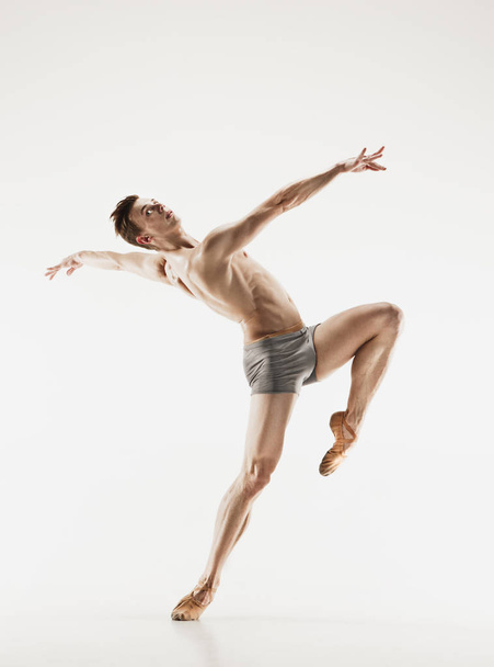 Athletic ballet dancer in a perfect shape performing over the grey background. - Zdjęcie, obraz