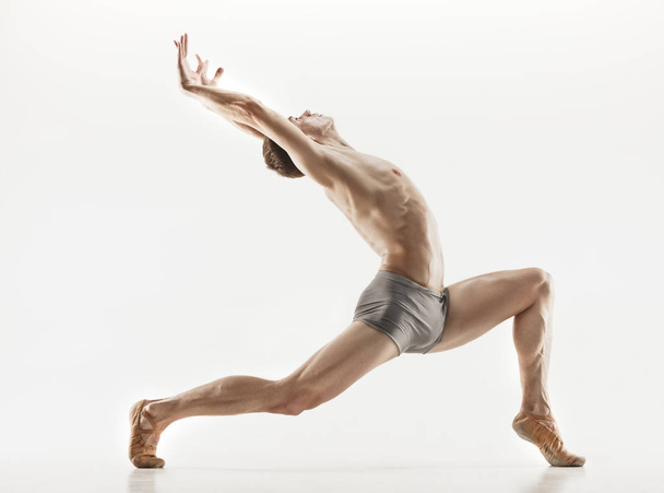 Athletic ballet dancer in a perfect shape performing over the grey background. - 写真・画像