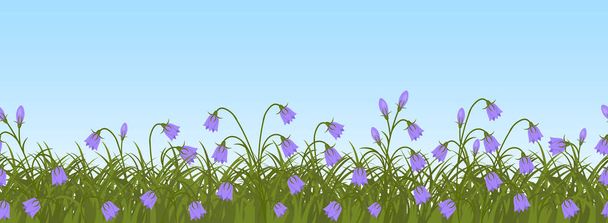Purple bell flowers in green grass on a blue sky background. Border. Spring flowers. It can be used as a seamless sample. Vector illustration - Vector, Image