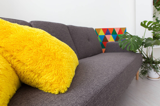 moderno apartamento estudio con plantas vivas. colores brillantes en el interior. sofá gris con almohadas amarillas
. - Foto, Imagen