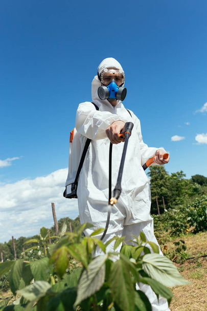 Industrial agriculture theme. Man spraying toxic pesticides or insecticides on fruit growing plantation. Natural hard light on sunny day. Blue sky with clouds in background - Φωτογραφία, εικόνα