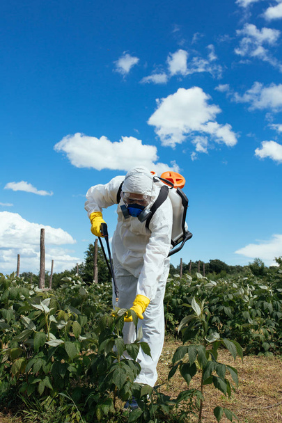 Industrial agriculture theme. Man spraying toxic pesticides or insecticides on fruit growing plantation. Natural hard light on sunny day. Blue sky with clouds in background - Fotó, kép