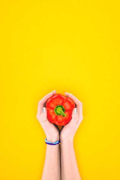 cropped shot of person holding raw red pepper in hands isolated on yellow - Foto, afbeelding