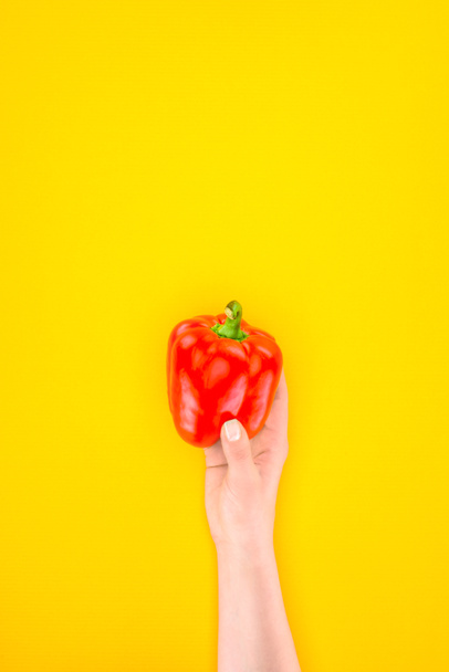 cropped shot of person holding fresh raw paprika pepper isolated on yellow - Foto, afbeelding