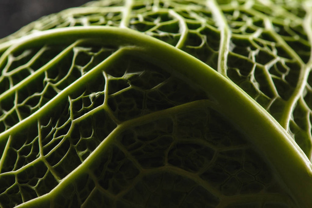texture of green fresh savoy cabbage leaf - Photo, Image